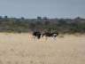 ../photos/Botswana/Jane/P1030177_1.jpg?t=1775440317