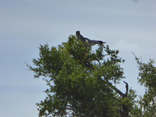 ../photos/Botswana/Jane/P1030194.jpg?t=1775440317