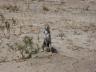../photos/Botswana/Jane/P1030204_1.jpg?t=1775440317