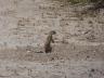 ../photos/Botswana/Jane/P1030207_1.jpg?t=1775440317