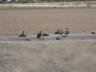 ../photos/Botswana/Jane/P1030221_1.jpg?t=1775440317