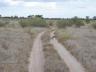 ../photos/Botswana/Jane/P1030224_1.jpg?t=1775440317