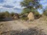 ../photos/Botswana/Jane/P1030232_1.jpg?t=1775440317