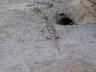 ../photos/Botswana/Jane/P1030235_1.jpg?t=1775440317