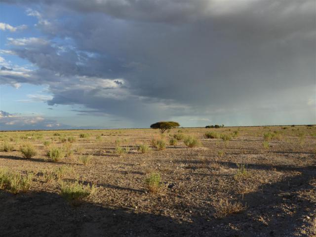../photos/Botswana/Jane/P1030237.jpg?t=1775440317