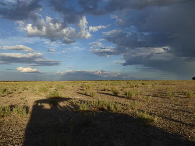 ../photos/Botswana/Jane/P1030238.jpg?t=1775440317