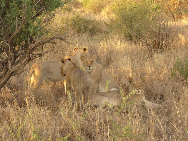 Botswana/Jane/P1030244.jpg