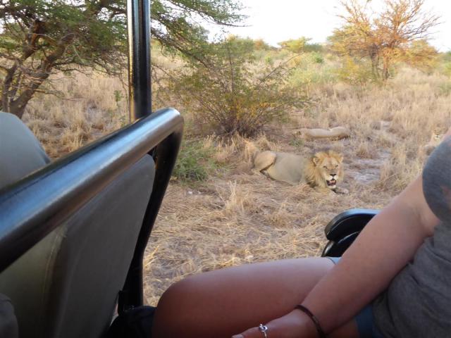 ../photos/Botswana/Jane/P1030259.jpg?t=1775440317