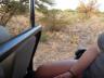 ../photos/Botswana/Jane/P1030259_1.jpg?t=1775440317