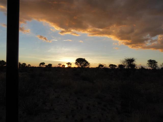 ../photos/Botswana/Jane/P1030261.jpg?t=1775440317
