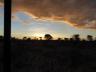 ../photos/Botswana/Jane/P1030261_1.jpg?t=1775440317