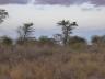 ../photos/Botswana/Jane/P1030263_1.jpg?t=1775440317