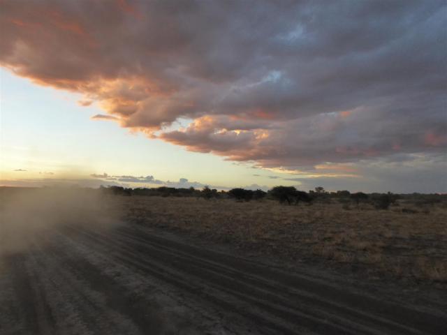 ../photos/Botswana/Jane/P1030268.jpg?t=1775440317