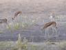 ../photos/Botswana/Jane/P1030278_1.jpg?t=1775440317