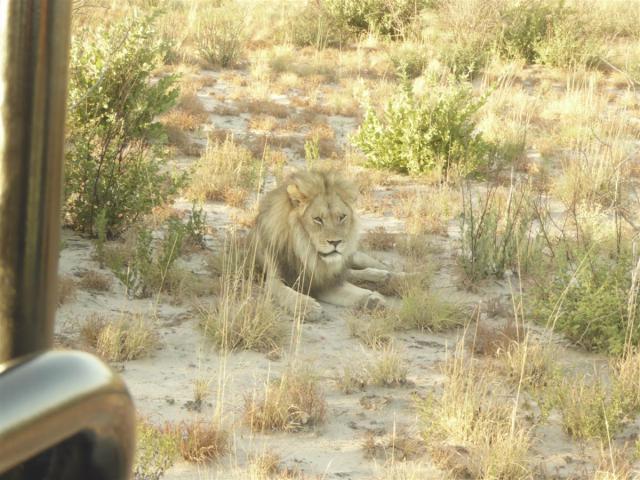 Botswana/Jane/P1030287.jpg