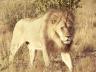 ../photos/Botswana/Jane/P1030312_1.jpg?t=1775421172
