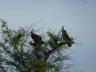 ../photos/Botswana/Jane/P1030338_1.jpg?t=1775421172
