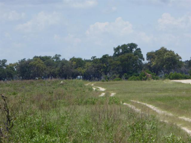 ../photos/Botswana/Jane/P1030349.jpg?t=1775421172