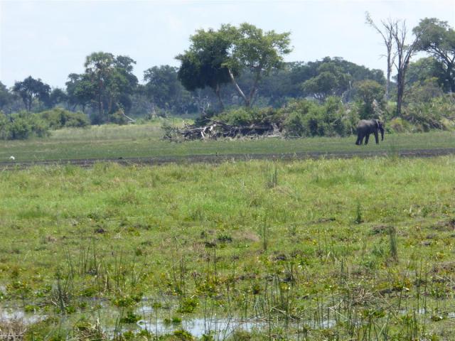 ../photos/Botswana/Jane/P1030351.jpg?t=1775421172