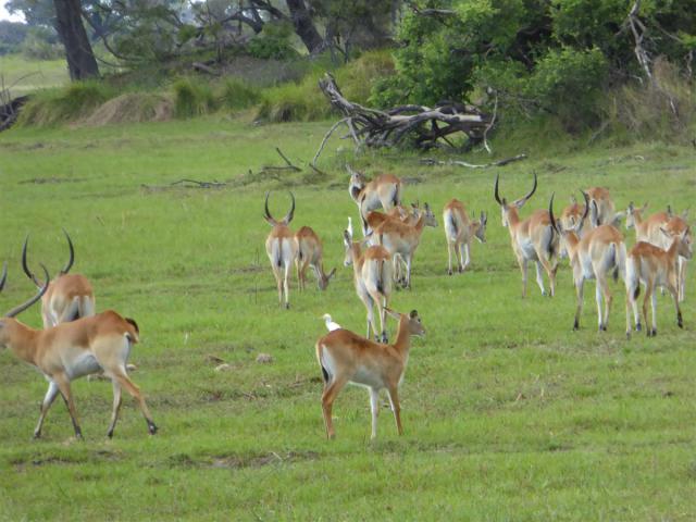 ../photos/Botswana/Jane/P1030357.jpg?t=1775421172