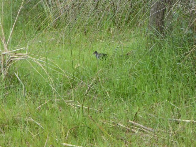 ../photos/Botswana/Jane/P1030363.jpg?t=1775421172