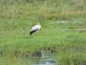 ../photos/Botswana/Jane/P1030373_1.jpg?t=1775421172