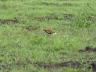 ../photos/Botswana/Jane/P1030377_1.jpg?t=1775421172