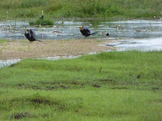../photos/Botswana/Jane/P1030380.jpg?t=1775421172