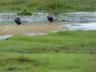 ../photos/Botswana/Jane/P1030380_1.jpg?t=1775421172