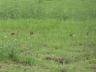 ../photos/Botswana/Jane/P1030384_1.jpg?t=1775421172