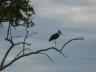 ../photos/Botswana/Jane/P1030388_1.jpg?t=1775421172