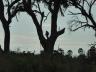 ../photos/Botswana/Jane/P1030395_1.jpg?t=1775421172