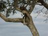 ../photos/Botswana/Jane/P1030421_1.jpg?t=1775421172