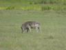 ../photos/Botswana/Jane/P1030423_1.jpg?t=1775421172