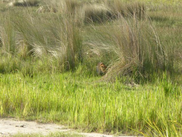 ../photos/Botswana/Jane/P1030428.jpg?t=1775421172