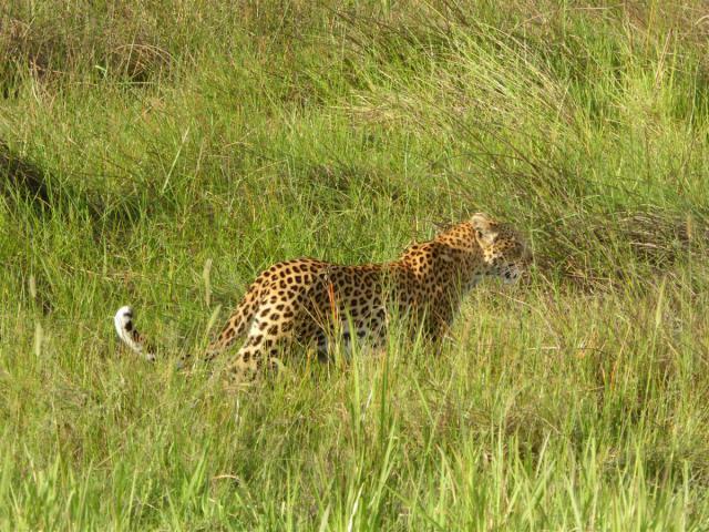 ../photos/Botswana/Jane/P1030432.jpg?t=1775421172