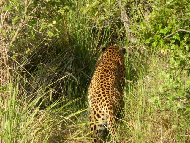 ../photos/Botswana/Jane/P1030436.jpg?t=1775421172