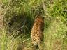 ../photos/Botswana/Jane/P1030436_1.jpg?t=1775421172
