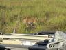 ../photos/Botswana/Jane/P1030438_1.jpg?t=1775421172