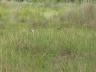 ../photos/Botswana/Jane/P1030440_1.jpg?t=1775421172