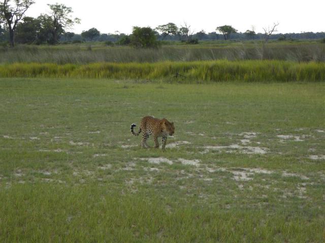 ../photos/Botswana/Jane/P1030441.jpg?t=1775421172