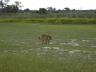 ../photos/Botswana/Jane/P1030441_1.jpg?t=1775421172