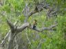 ../photos/Botswana/Jane/P1030458_1.jpg?t=1775421172