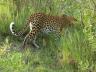 ../photos/Botswana/Jane/P1030460_1.jpg?t=1775421172