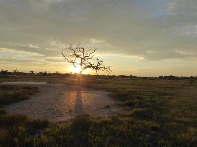 ../photos/Botswana/Jane/P1030461.jpg?t=1775421172