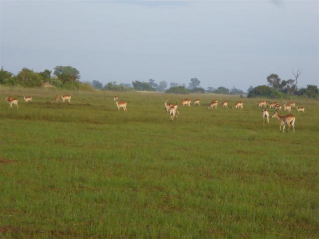 ../photos/Botswana/Jane/P1030474.jpg?t=1775440283