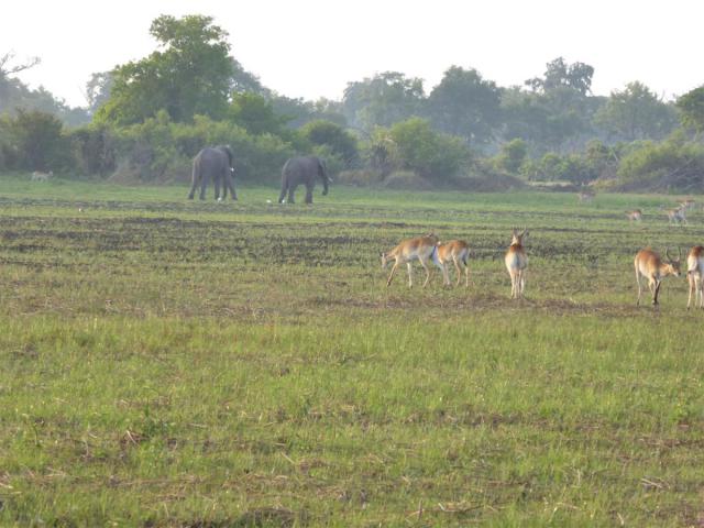 ../photos/Botswana/Jane/P1030477.jpg?t=1775440283