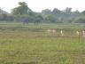 ../photos/Botswana/Jane/P1030477_1.jpg?t=1775440283