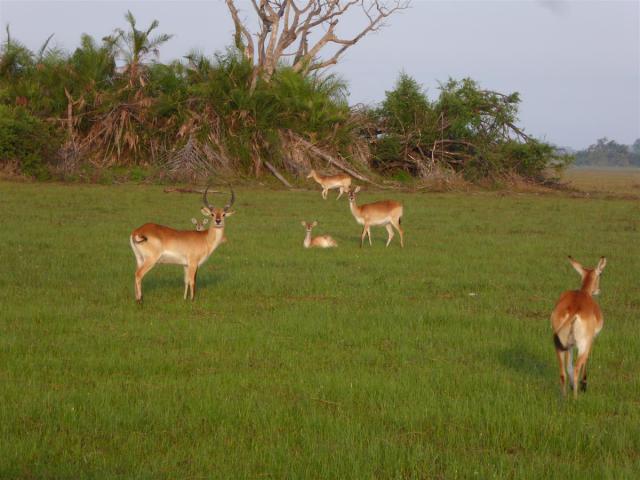 ../photos/Botswana/Jane/P1030479.jpg?t=1775440283