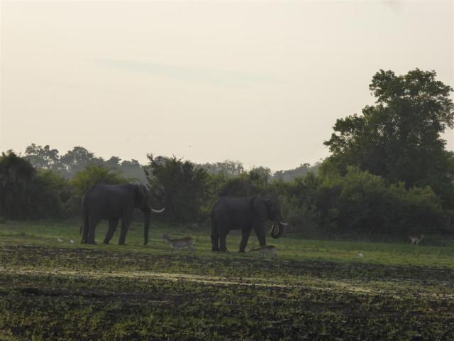 http://www.gandjlawrence.co.uk/photos/Botswana/Jane/P1030483.jpg